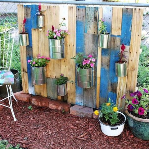 Backyard, Garden, Yard, Flower, Plant, Flowerpot, Wood, House, Fence, Shed, 