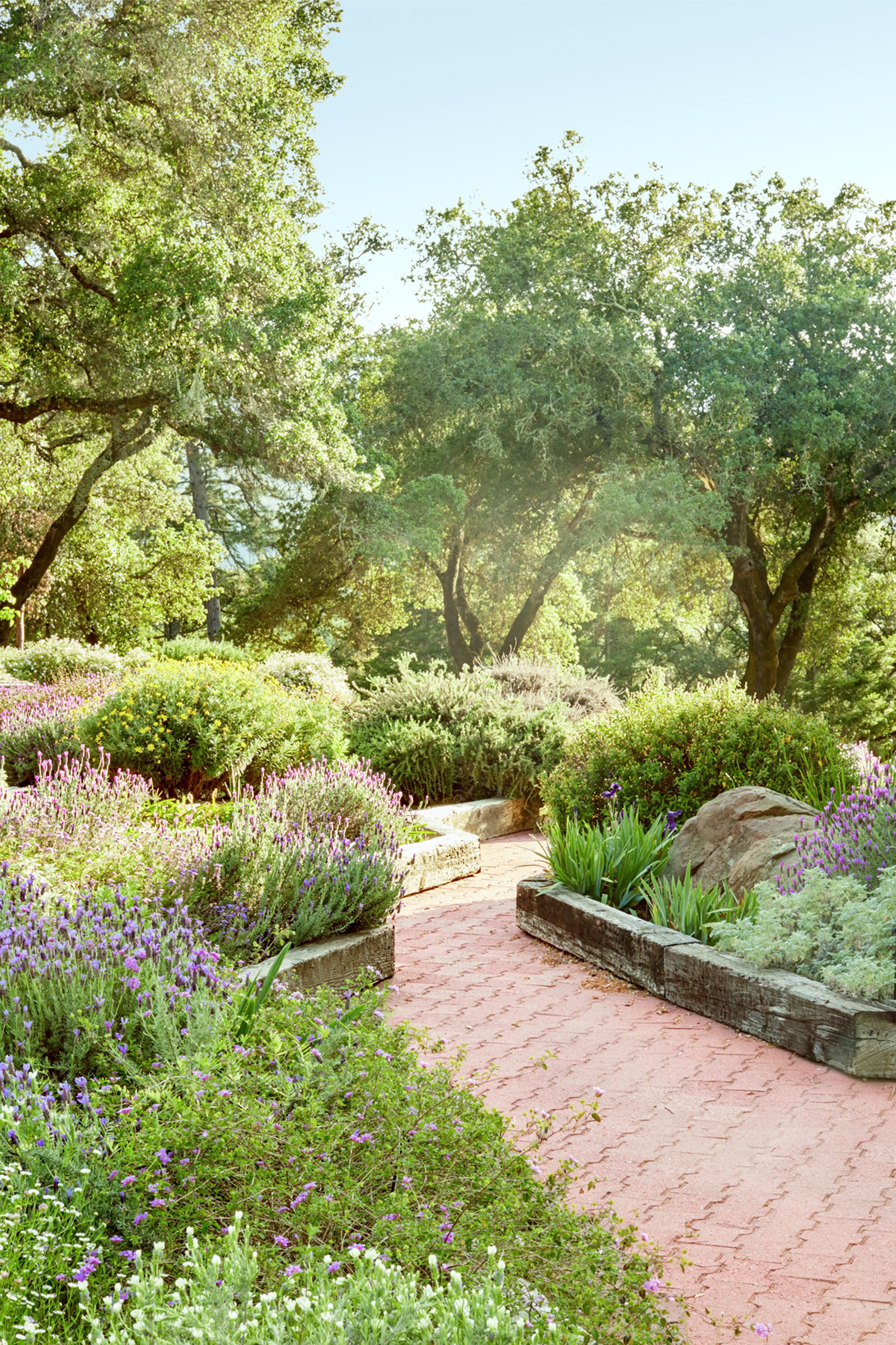 Backyard flower beds