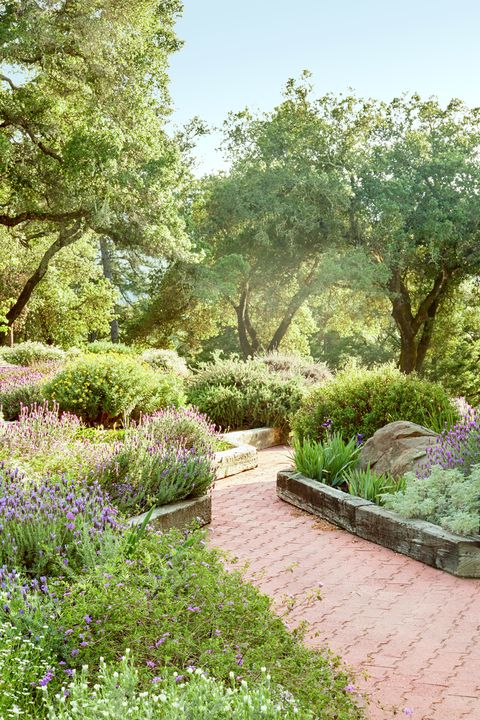 18 Stunning Stone Walkways Garden Path Ideas