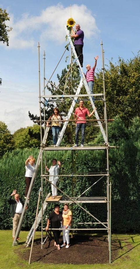 The World's Tallest Sunflower Will be the Happiest Thing You See Today