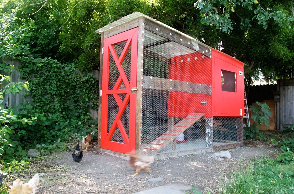 30 Diy Chicken Coops You Need In Your Backyard Diy Chicken Coop