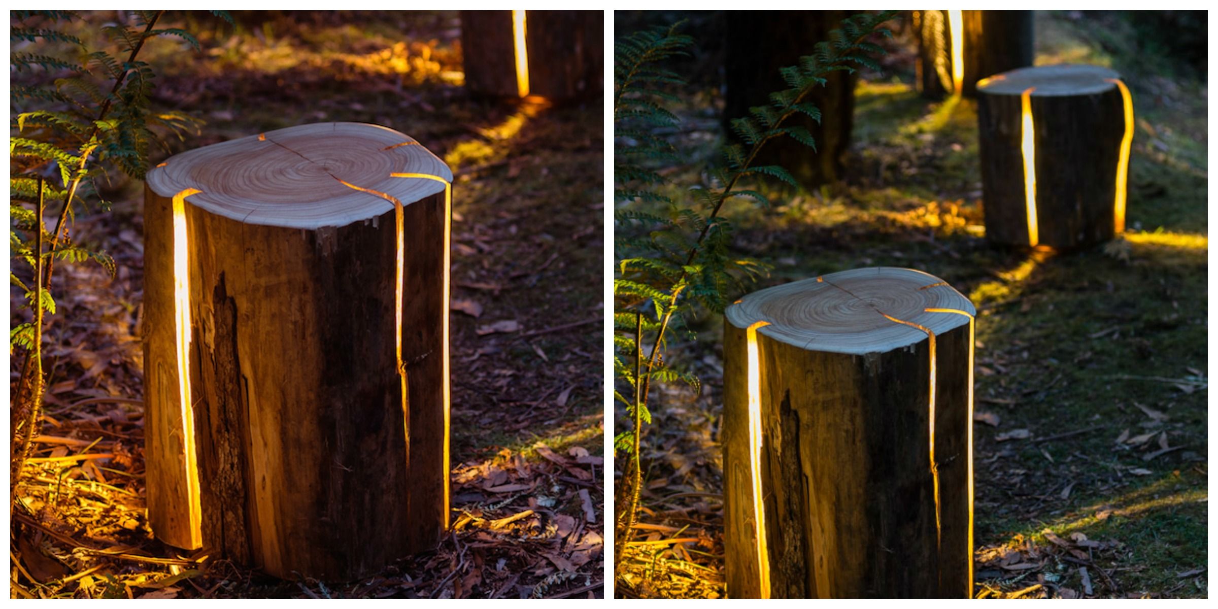 Alluring decorative tree stumps for sale Bring Nature Into Your Home With These Illuminated Tree Stumps