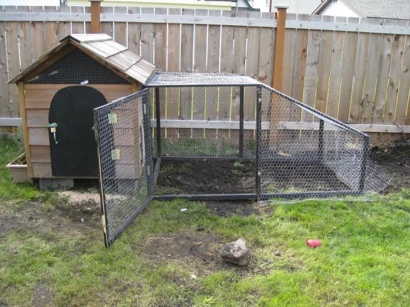 30 Diy Chicken Coops You Need In Your Backyard Diy Chicken Coop