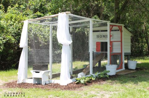 30 Diy Chicken Coops You Need In Your Backyard Diy Chicken Coop