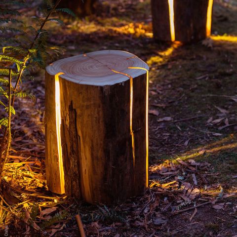 Fresh decorative tree stumps for sale Bring Nature Into Your Home With These Illuminated Tree Stumps