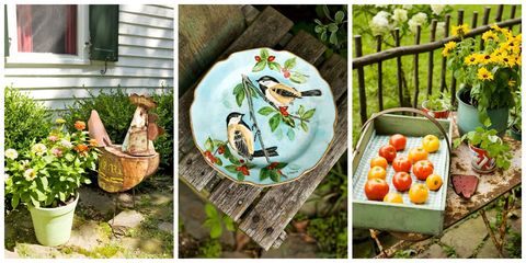 Bird, Beak, Bush tomato, Cherry Tomatoes, Serveware, Plum tomato, Tomato, Garden, Dishware, Produce, 