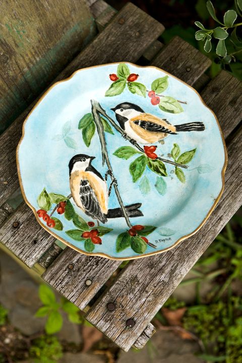 Bird, Beak, Dishware, Feather, Serveware, Perching bird, Home accessories, Wing, Linens, Illustration, 