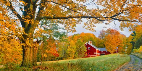 Beautiful Autumn Barn Photos Fall Foliage Pictures