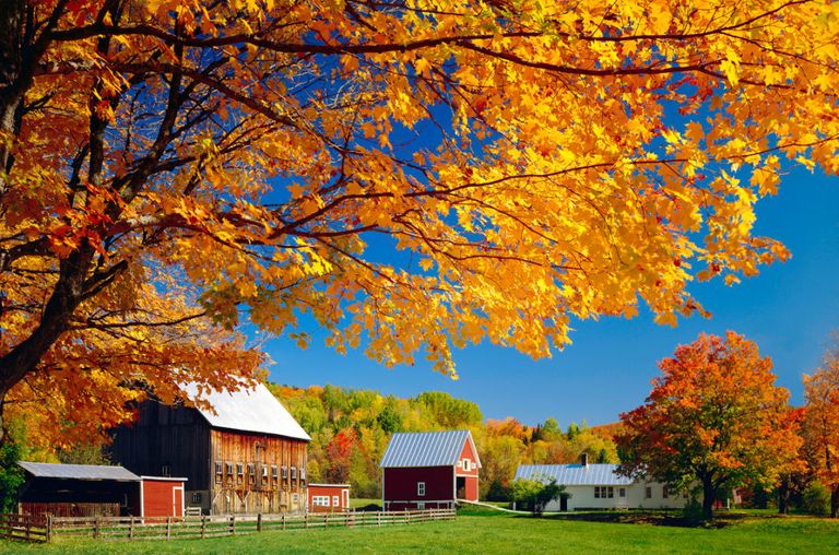 Beautiful Autumn Barn Photos - Fall Foliage Pictures