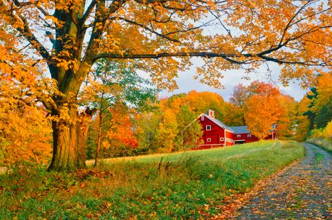 Beautiful Autumn Barn Photos - Fall Foliage Pictures