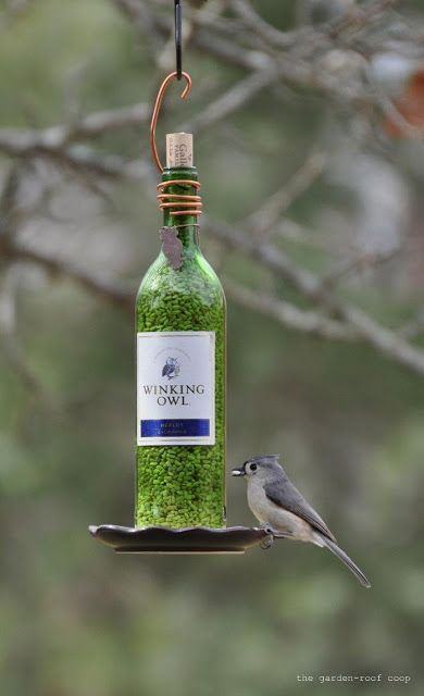 Bird feeder, Bird food, Bird, Bird supply, Bottle, Wildlife, Plant, Beak, Perching bird, 