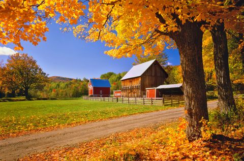 Beautiful Autumn Barn Photos Fall Foliage Pictures