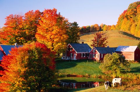 Beautiful Autumn Barn Photos Fall Foliage Pictures