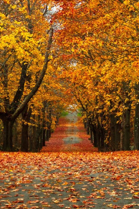 best fall foliage small towns in america leaf peeping destinations