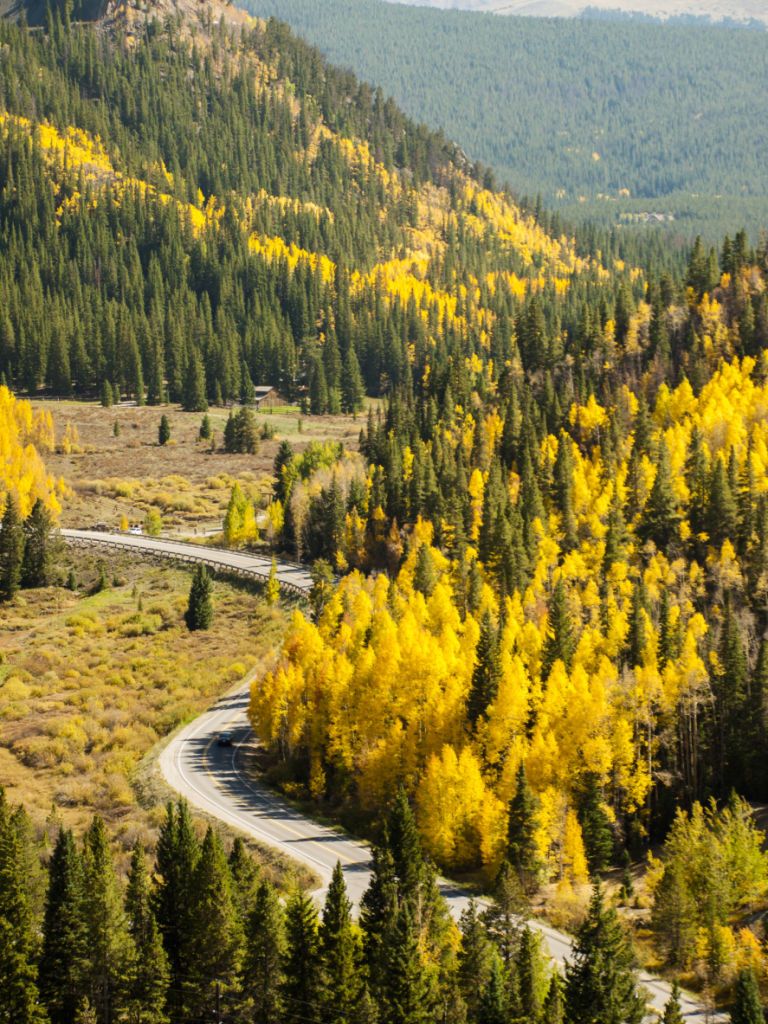 fall foliage breckenridge colorado