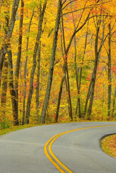 Best Fall Foliage Small Towns in America - Leaf Peeping Destinations