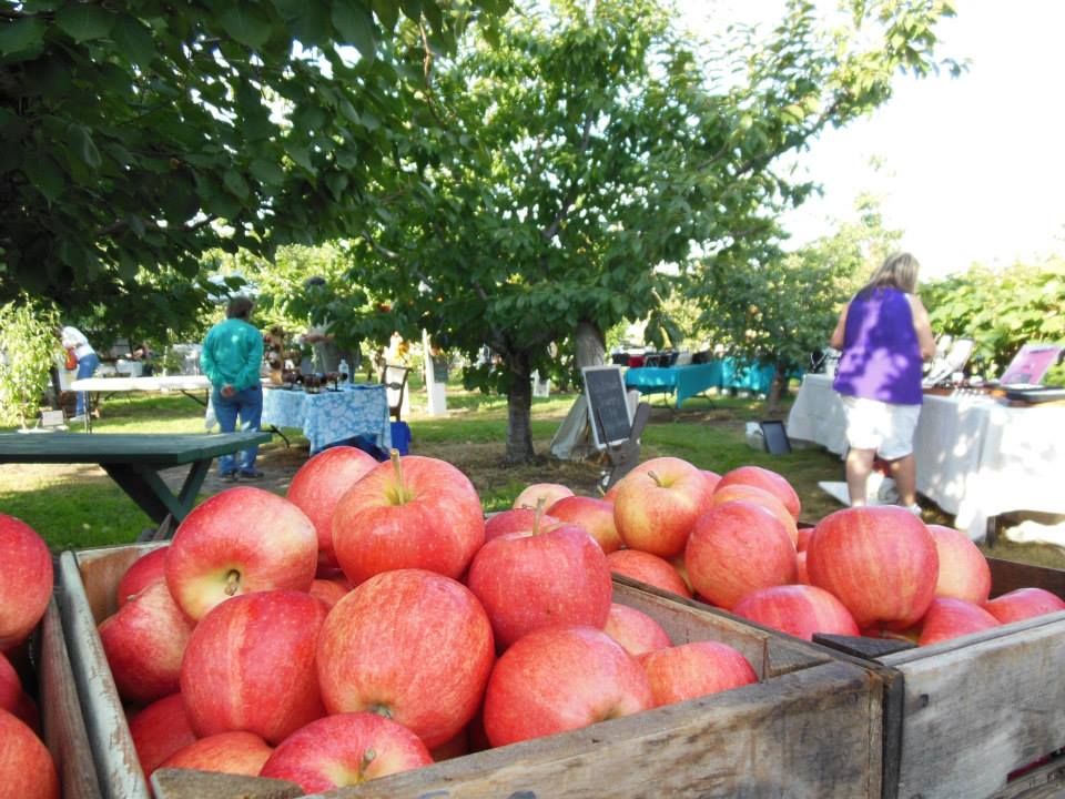 35 Best Apple Picking Places Near Me - You-Pick Apple Orchards