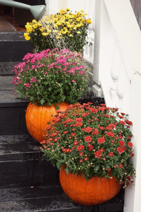 outdoor halloween decorations pumpkin planters