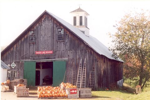 apples in front of barn
