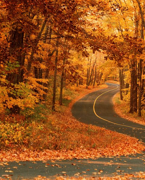 61 Best Fall Activities Near Me - Things to Do in the Fall