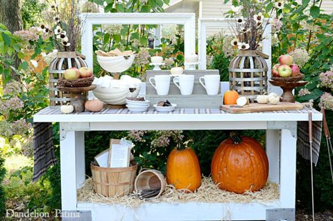 Plant, Squash, Calabaza, Table, Vegetable, Natural foods, Produce, Pumpkin, Orange, Flowerpot, 