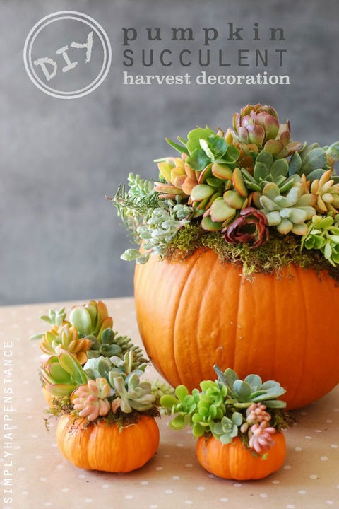 25 Ways To Decorate Your Home With Pumpkins Pumpkin Crafts And Decor