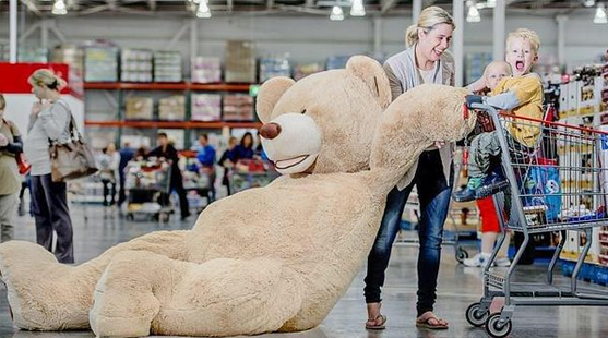 giant stuffed bear costco