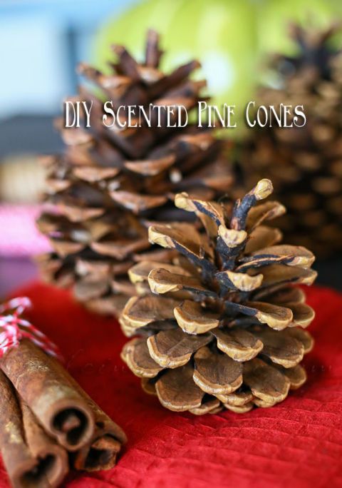 Scented Pine Cones – Evergreen Memories