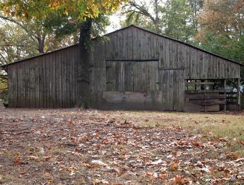 Wood, Branch, Leaf, Deciduous, Land lot, Twig, Woody plant, Autumn, Rural area, Shack, 