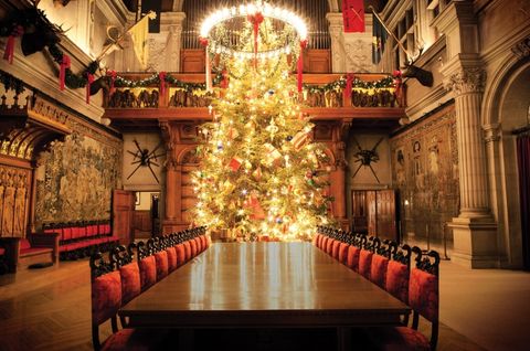 Christmas, Christmas decoration, Lighting, Christmas tree, Room, Interior design, Architecture, Tree, Building, Interior design, 
