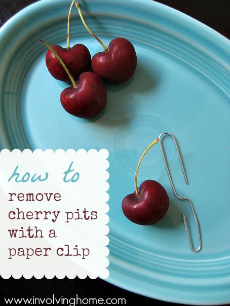 Everyday Hack 16 Awesome DIY Projects You Can Do With Paper Clips