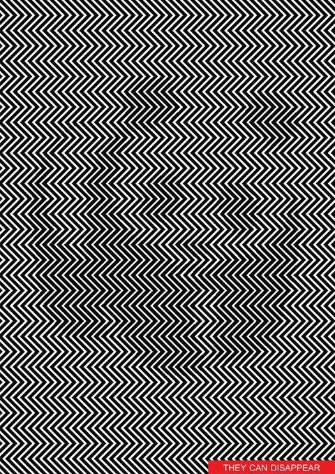 Panda Optical Illusion Zig Zag Lines - Can You Find the Panda in this ...