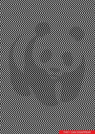 Panda Optical Illusion Zig Zag Lines Can You Find The Panda In This Optical Illusion