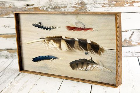 Framed Feather Art