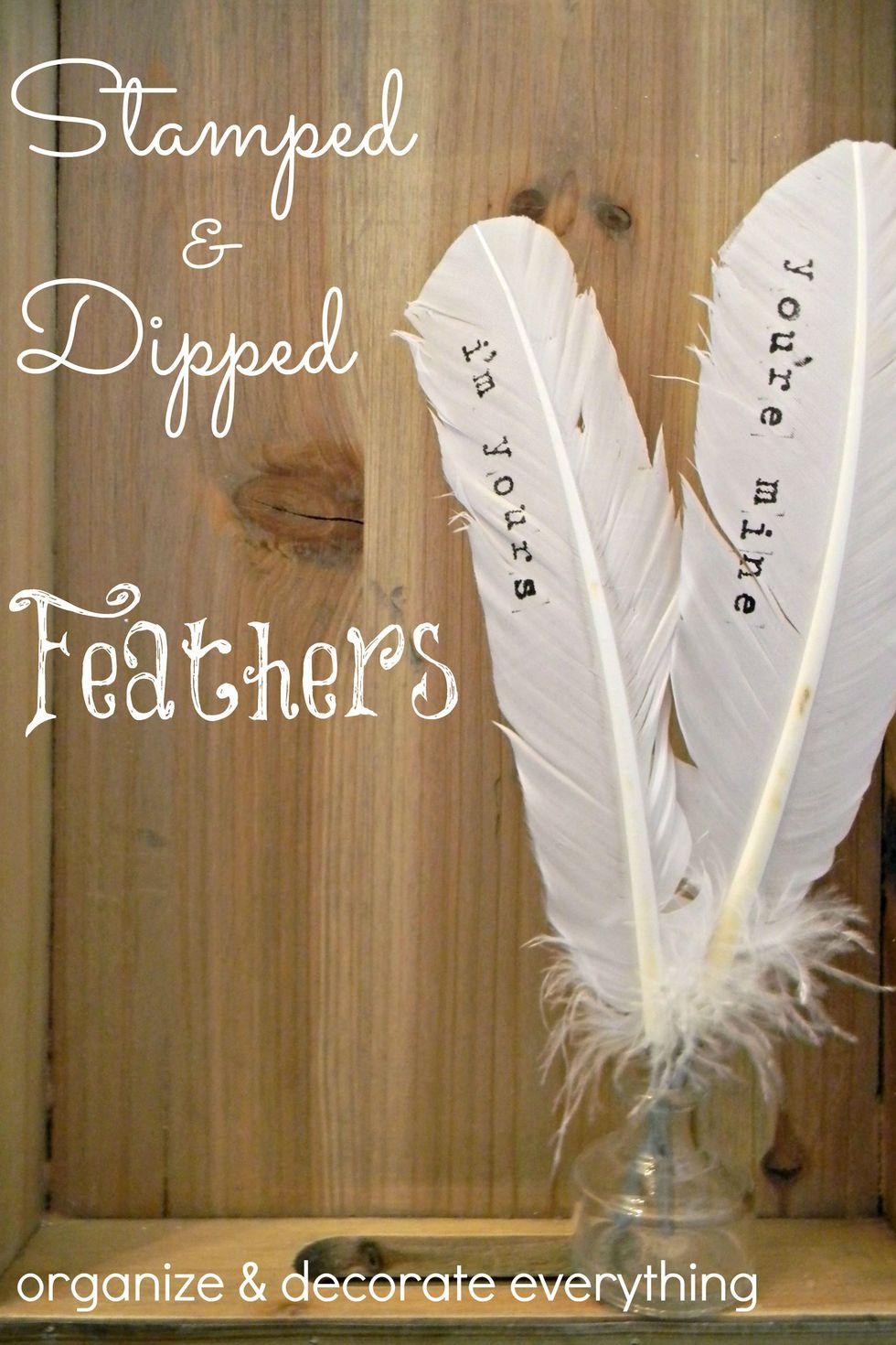 9 Simple Feather Craft Ideas