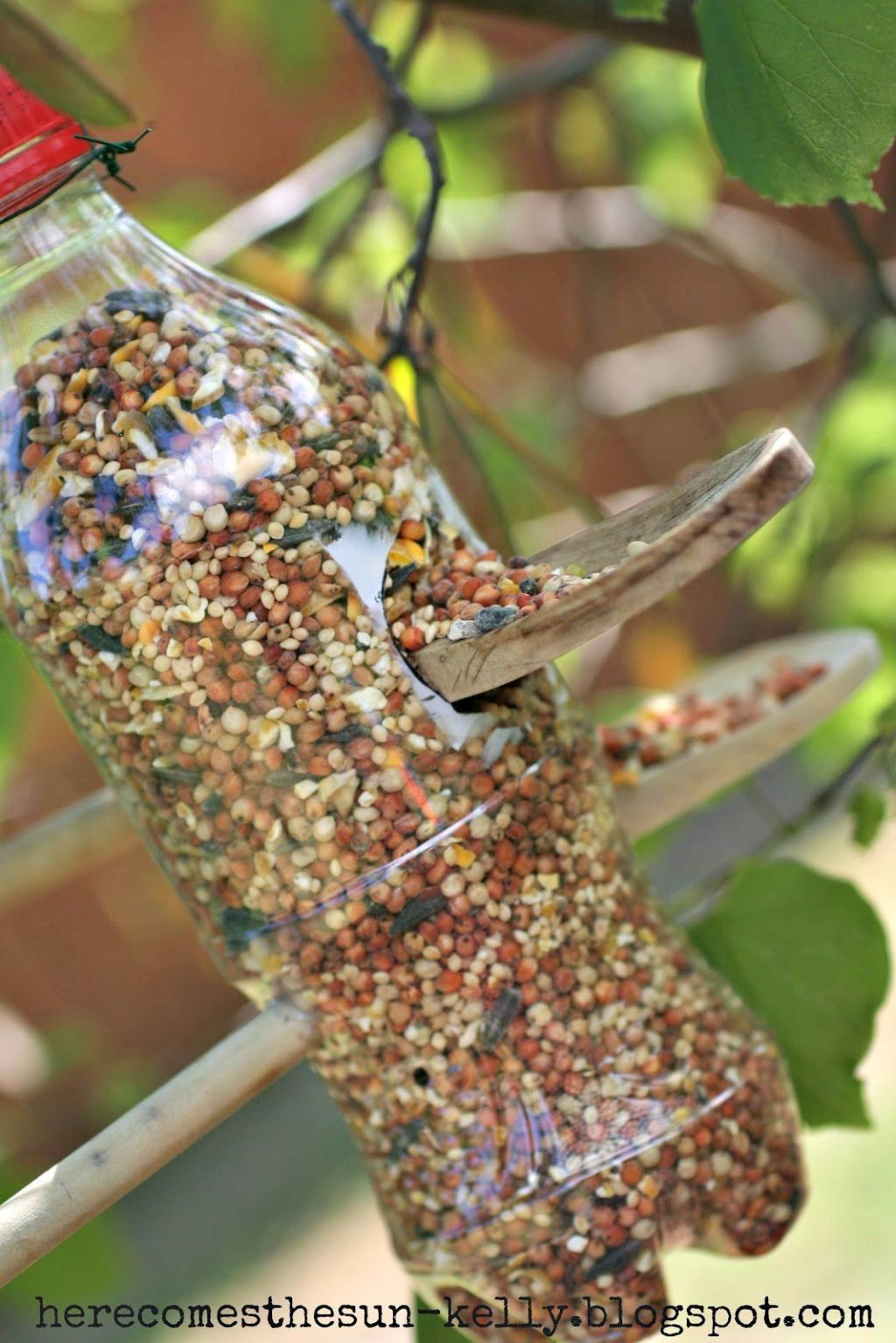 soda bottle bird feeder plans