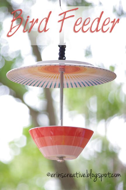 diy plate bird feeder