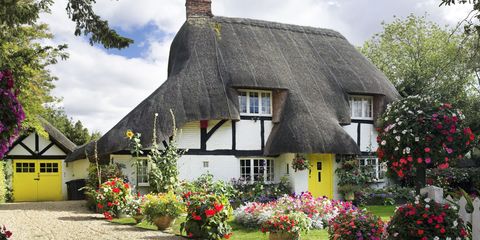 Plant, Window, Property, House, Flower, Shrub, Building, Thatching, Garden, Home, 