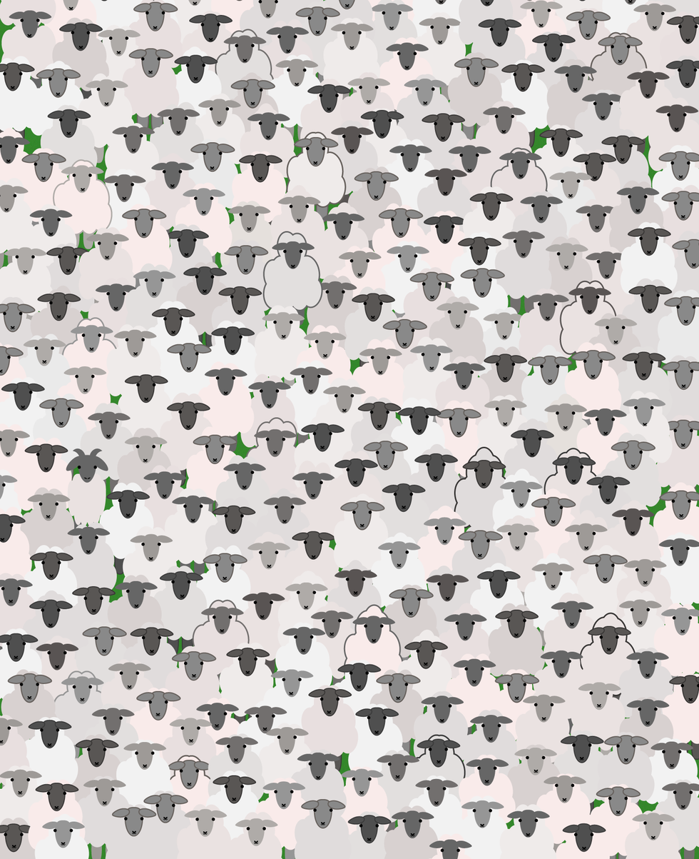 Green, Pattern, Colorfulness, White, Grey, Design, Visual arts, Pattern, Wrapping paper, 