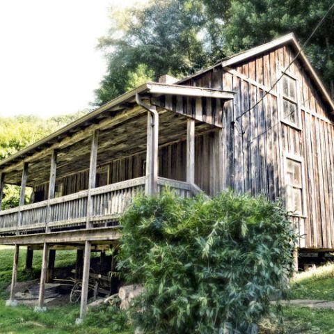 Shack, House, Log cabin, Building, Cottage, Hut, Rural area, Tree, Home, Plantation, 