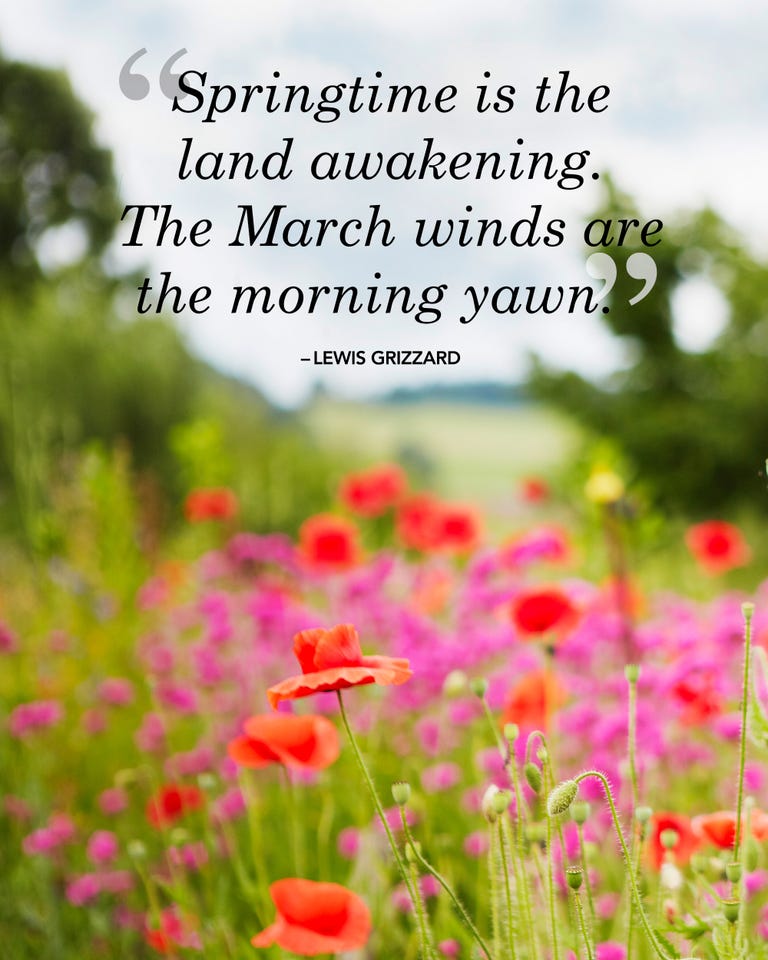 30 Happy Spring Quotes - Best Sayings About Spring