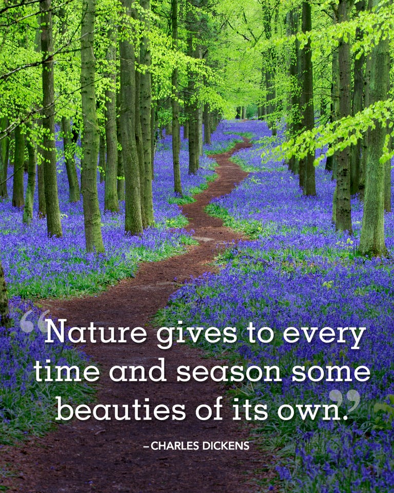 30 Happy Spring Quotes  Best Sayings About Spring