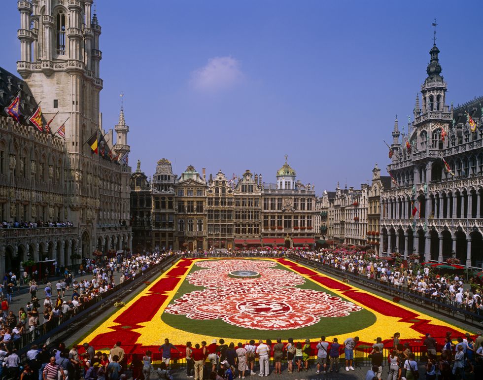 This Spectacular Flower Carpet Is Made From 700,000 Begonia Petals ...