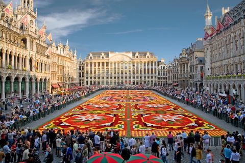 This Spectacular Flower Carpet Is Made From 700,000 Begonia Petals ...