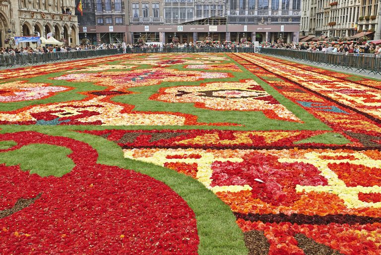 This Spectacular Flower Carpet Is Made From 700,000 Begonia Petals ...