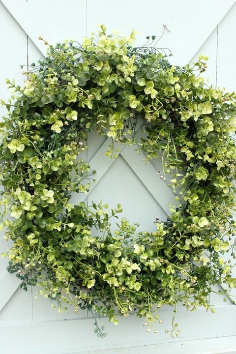 Flower, Plant, Wreath, Ivy, Flowering plant, Grass, Christmas decoration, Vine, Floral design, Annual plant, 