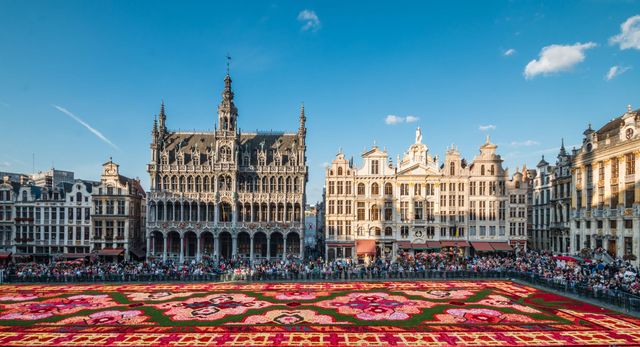 This Spectacular Flower Carpet Is Made From 700,000 Begonia Petals ...