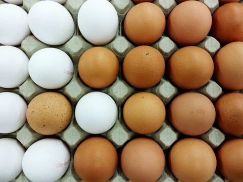 Brown, Orange, Ingredient, Peach, Colorfulness, Tan, Oval, Egg, Egg, 