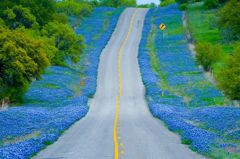 Nature, Blue, Road, Natural landscape, Green, Yellow, Infrastructure, Landscape, Colorfulness, Electric blue, 