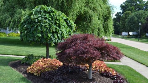 20 Best Front Yard Landscaping Ideas Budget Friendly Landscape Tips For Front Yard